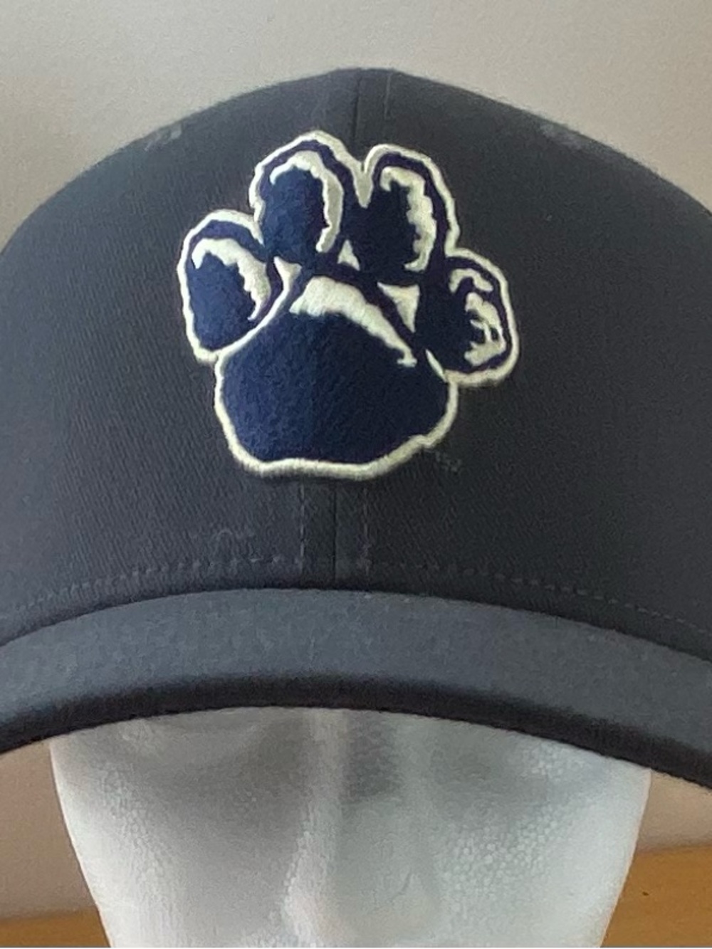 Pitt Panthers fitted hat M/L Nike